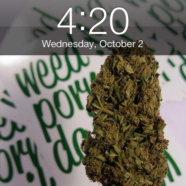 weedporndaily:  Happy 4:20