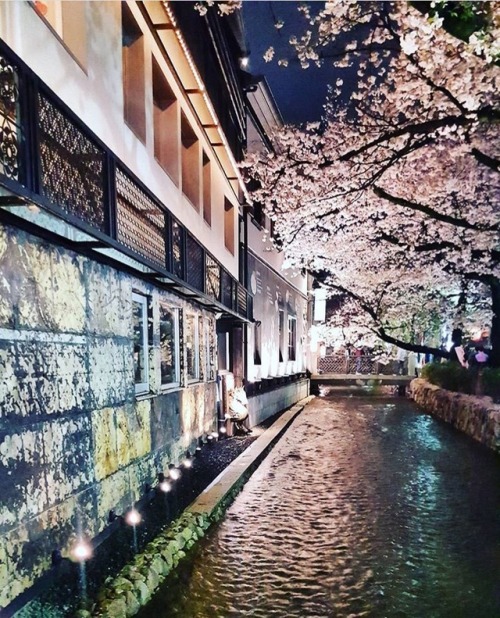 Kyoto, Japan:Kyoto is famed for its reputation as Japan writ large: abundant Buddhist temples, class