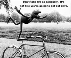 be as the frog on the bicycle