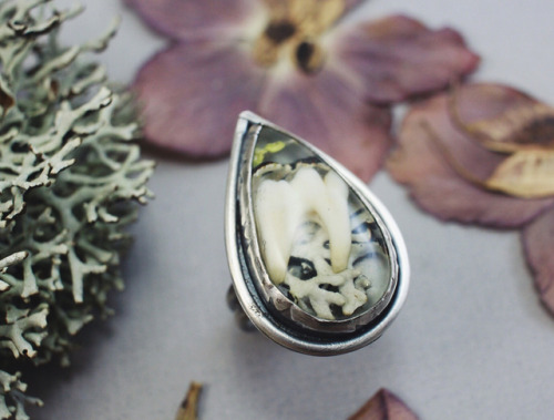 one of the new rings in the shop - a pear shaped resin stone featuring lichen and a real tooth set i