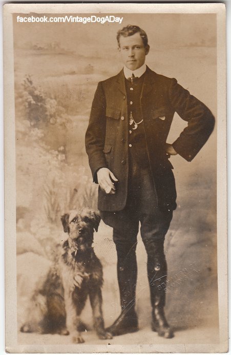 Airedale Terrier, c.1910