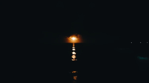 “Moon Rises from the horizon”Photo by: Jake Emmanuel Rosales