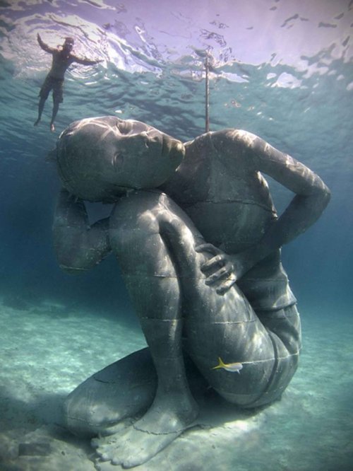 earthstory:Off the coast of the Bahamas, a giant awaits…At 5.5 metres tall (18 feet), she is the siz