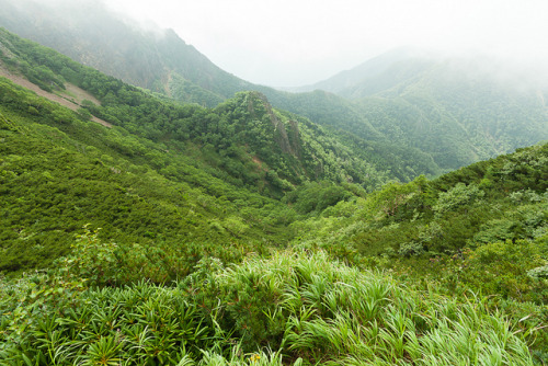 Lush and misty volcanic mountains, Japan by Ippei &amp; Janine Naoi on Flickr.