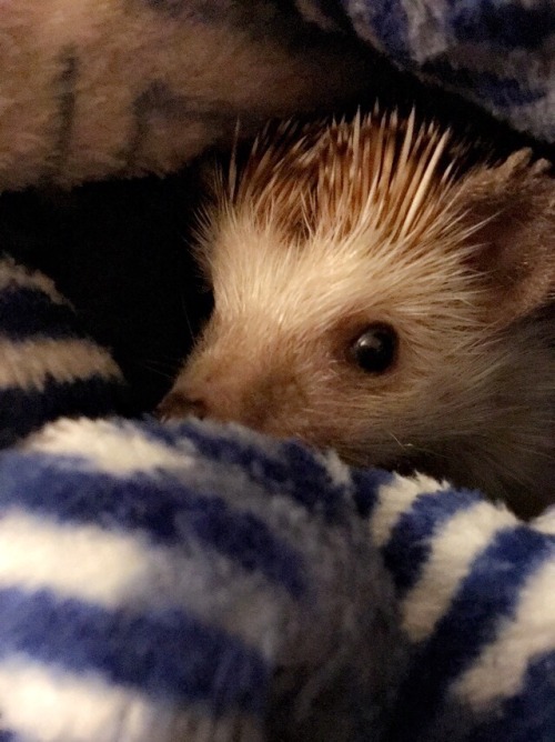 My cutie Maggie :) Submission by @brighterthanblackness