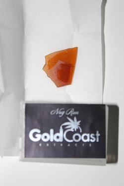 purloiner:  Half gram of Gold Coast Extracts