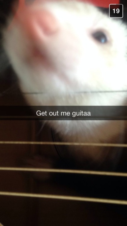 pussypussymarijuanaxd:  get out of me guitaa porn pictures