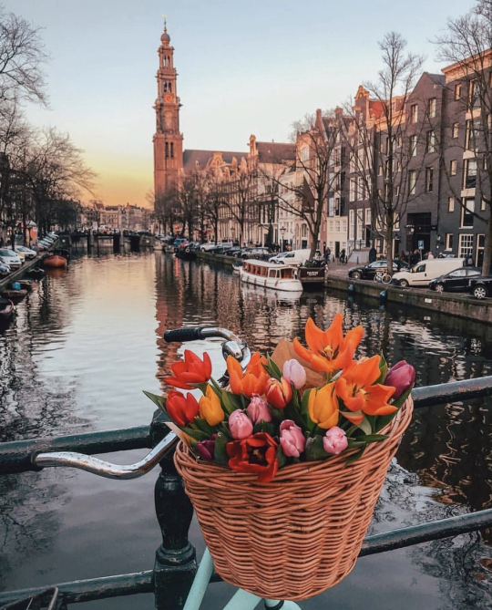 vicloud:
“Amsterdam, Netherlands.
”