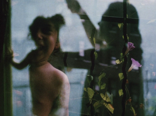 sesiondemadrugada:    Diaries Notes and Sketches (Jonas Mekas, 1969).
