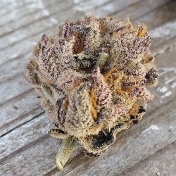 weedporndaily:  by @str8organics  Oh my god&hellip;.need this bud in my life!