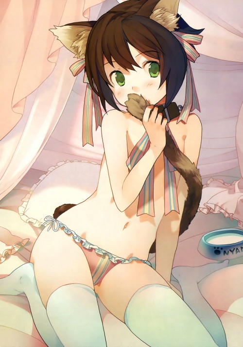 azunyann:  ~doko demo neko~