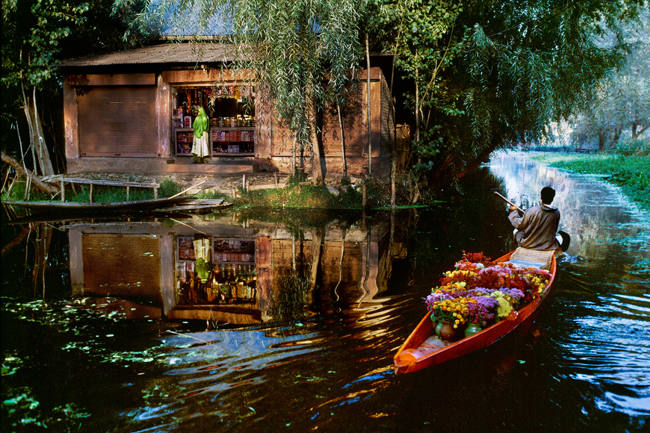 fotojournalismus:  Flower vendor at Dal Lake, Kashmir, 1999.Photo by Steve McCurry
