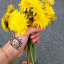 dreamforya