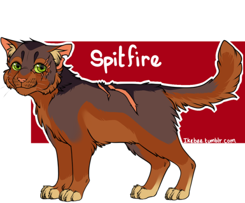 Finished Make-A-Cat For @thehauntedsilverstone The Name Given Was Spitfire. The Design Colors Remind