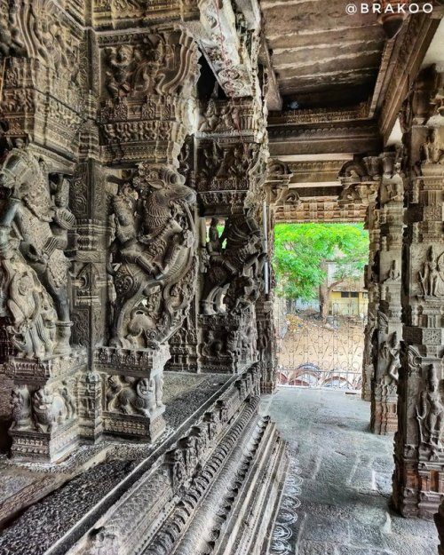 Thillai Nataraja temple,Chidambaram, Tamil Nadu, photo by Brakoo