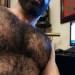awesomefurvert:cabin12silverbear:hairy-man-lovers:So much fur, where to start!!He’d so get it