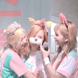 shonseungwan:  kitten mina