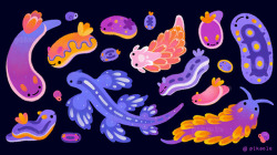 pikaole: Sea slug [ Patreon / twitter / instagram / LINEstore / mollusk stickers / shop / print ] 