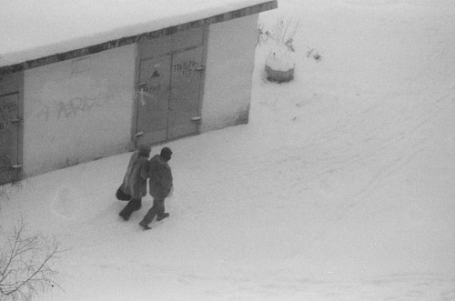 Winter wanderers...#believeinfilm #canonf1 #thefilmcommunity #lomography #selfdevelopedfilm #filmpho