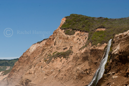 Alamere Falls - Point Reyes National Seashore, CaliforniaCheck out my blog here for more and my redb