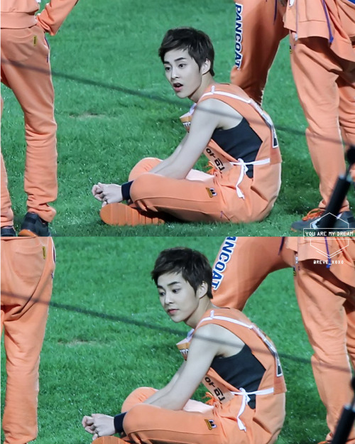  you are my dream | do not edit.  