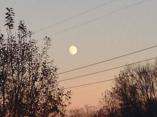 lavenderwaterwitch:the moon came out early today to say hi what a beauty