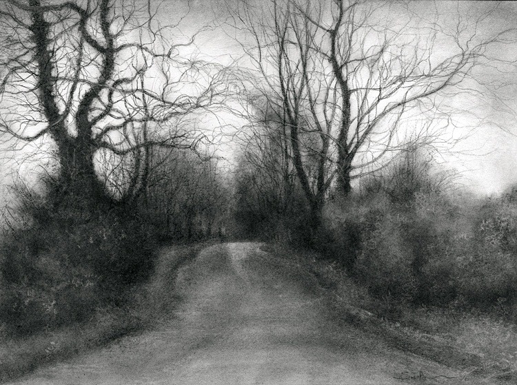 Paintings and Drawings by Manju Panchal: Charcoal drawing of a tree