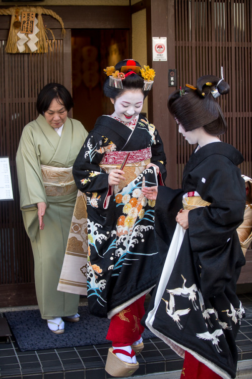 Ichikoma&rsquo;s misedashi, by PradoHow proudly happy she looks!