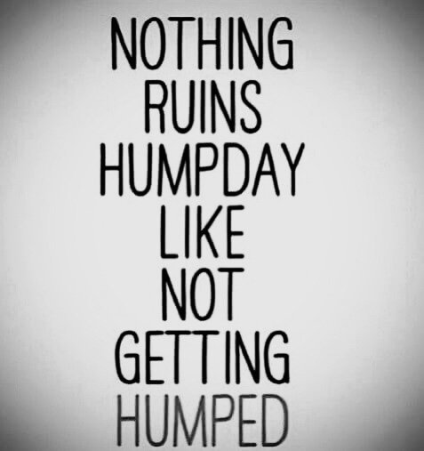 arnold-ziffel:Don’t ruin hump day… just sayin’…
