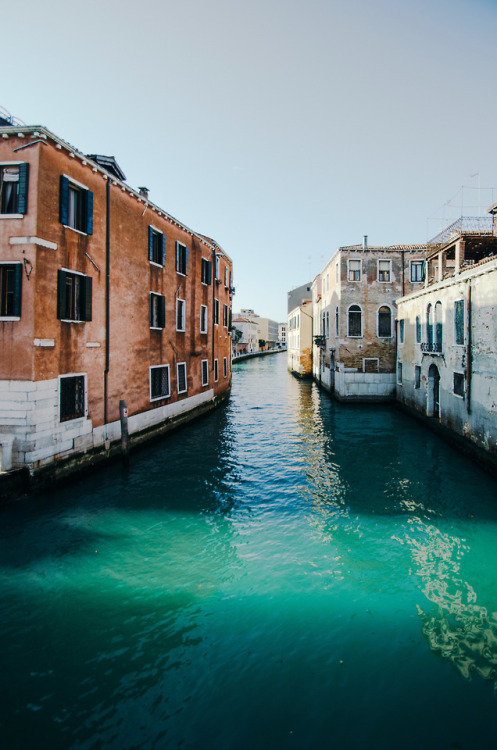 raluque: Venice, January 2018 | Instagram: @sassafranski