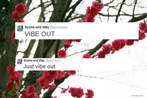 iusedtocryonhereaboutmylife:Gerard Way and vibes