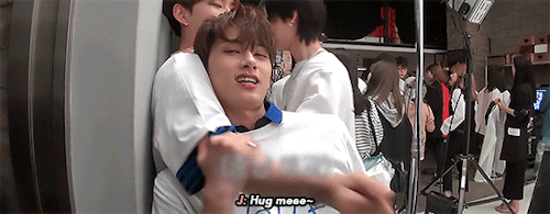 Moon Day Countdown: Fav Junhui Moments 🐱 D-07 →  tiny Kitten Being Clingy