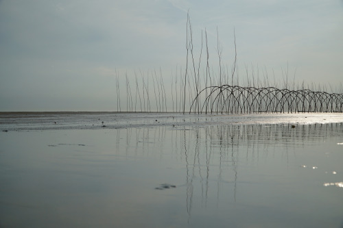 Noordvaarder Terschelling.Experiment to make new land.