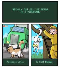 archangeltwoone:  dorkly:  Being a Cat Is