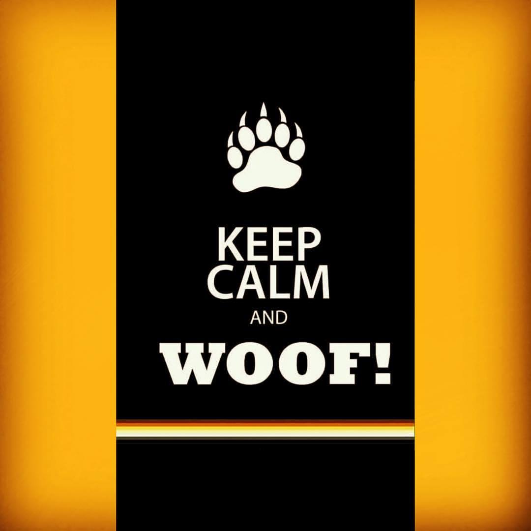 #woof #me #single #beary #bears #cubs