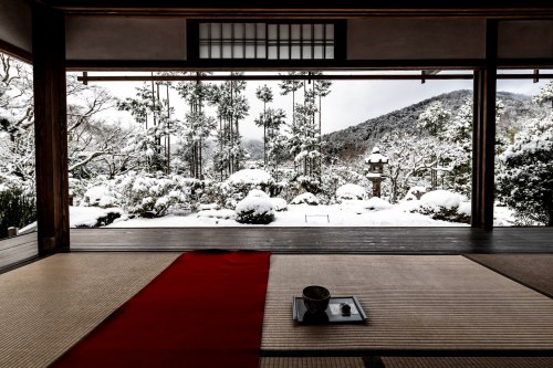 Snow viewing at Jikkoin and Hosenin temples in Ohara (near Kyoto), winter sceneries (snowy persimmon