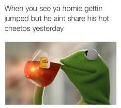 snitchykermit:  Like to laugh? Follow Kermit