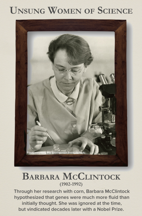 sciencefriday:  Happy Women’s Equality Day, everyone. As these unsung women of science show, we still have a ways to go. 