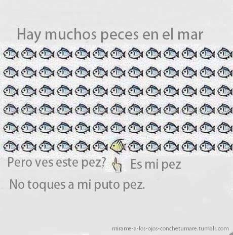 murallamuerta:  Ese pez nunca fue mio :/