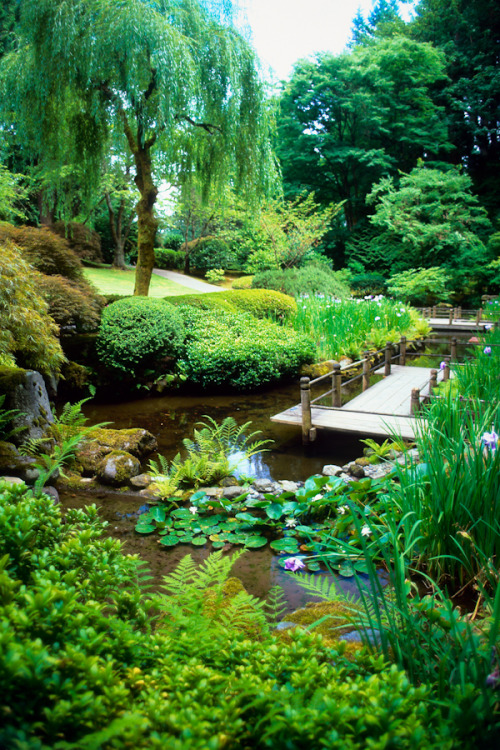 hueandeyephotography:Green Paradise, Japanese Garden, Portland, Oregon© Doug Hickok  All R