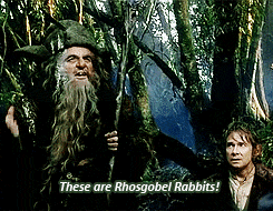 thesockmonkeyrenegade:  #bitches don’t know about my rhosgobel rabbits 