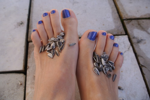hippie-feet: trying to feed the birds… without effect.