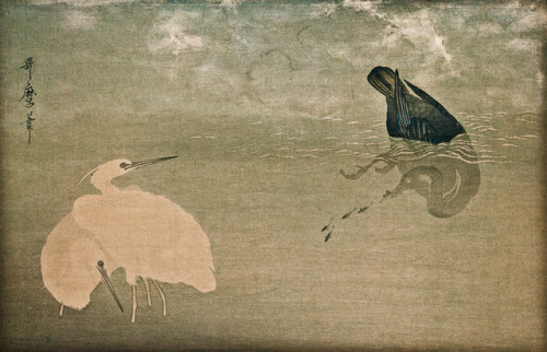 heartbeat-of-leafy-limbs:KITAGAWA UTAMARO Cormorant and Egrets (from the album Momo chidori kyô