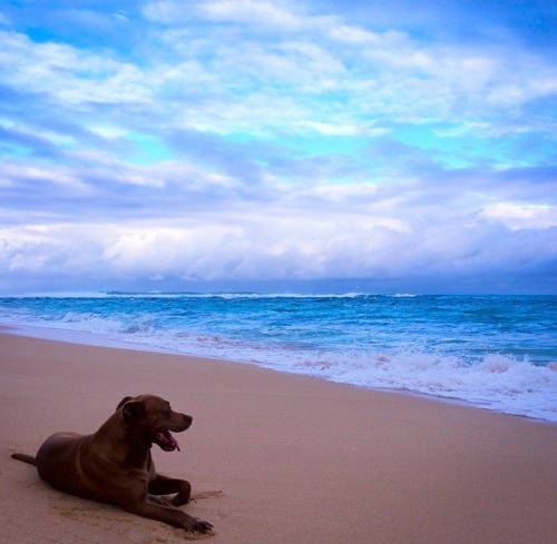 Um mar de mim.
