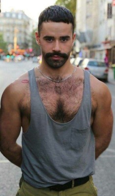 harrybacks:  BlackBeards 25   Eyes, pecs and fur.