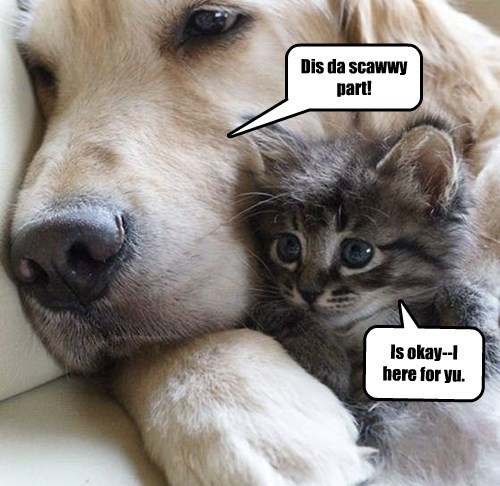 memator:  Best to w\Watch Scawwy Mobies Wivz a Fwend. http://ift.tt/1xrK5tf 