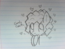 candycoats:   A little pen doodle I did for
