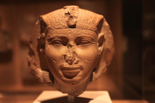 Head of a king, possibly Mentuhotep IIIThe features of this head are closely matched by a relief fro