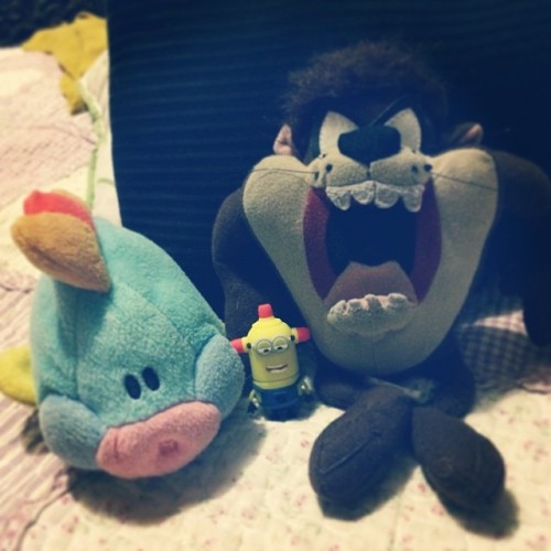 #lindis #minion #tazz #pecesito #bebis #like4like #instadoll #instapic #amigos