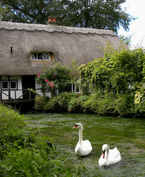 The Fulling Mill in Alresford, Hampshire / England (by sandlings).